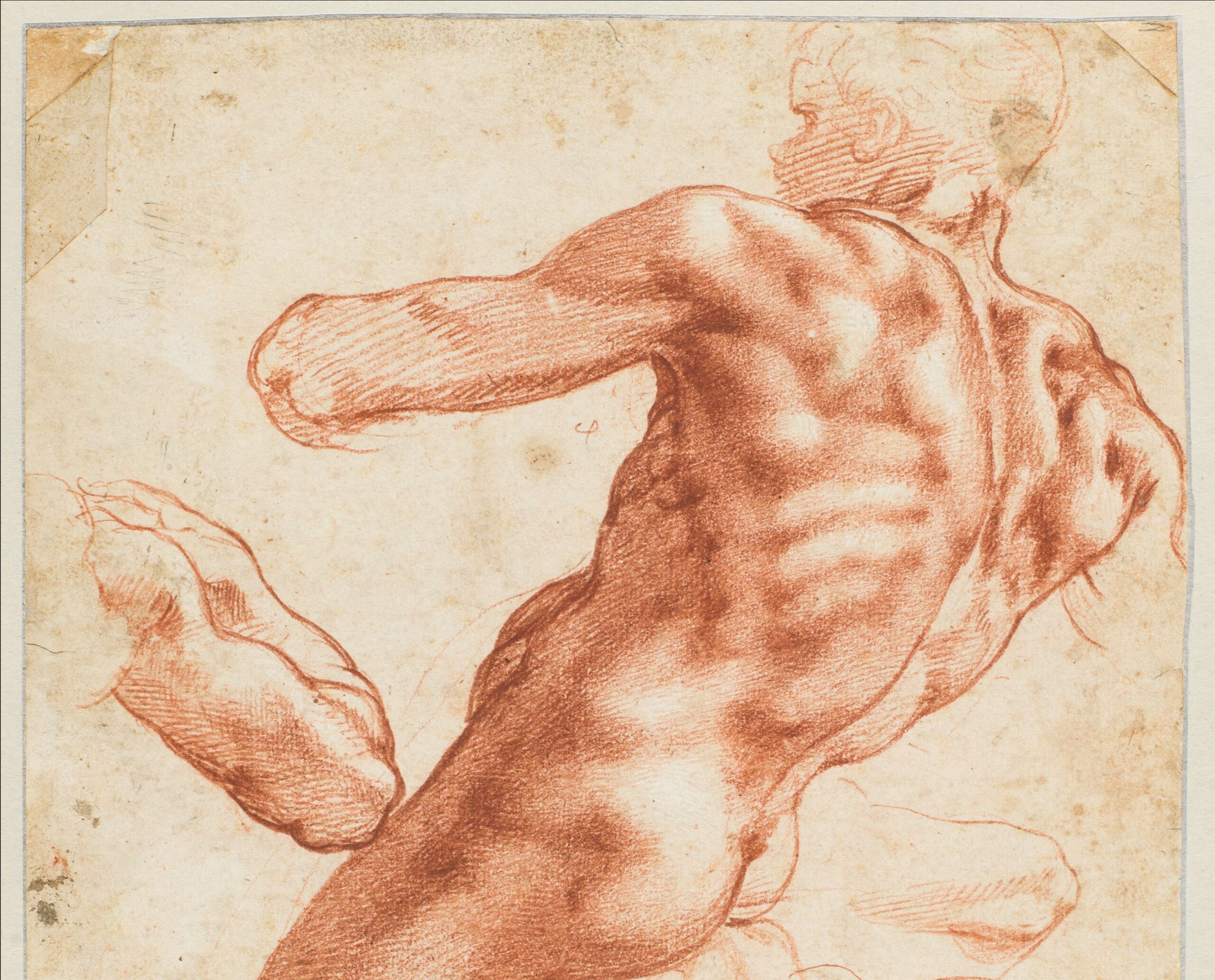 De Mannen van Michelangelo Teylers Museum overnachting hotel